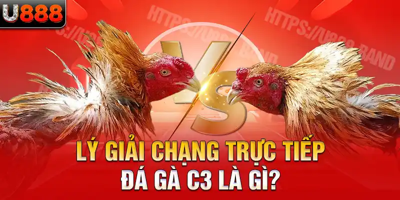 Lý giải chạng trực tiếp đá gà C3 là gì?