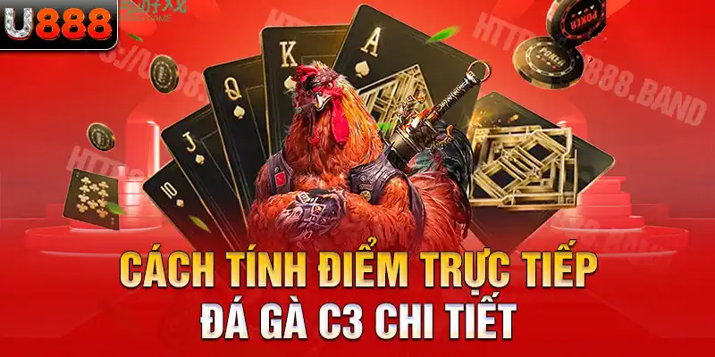 Cách tính điểm trực tiếp đá gà C3 chi tiết