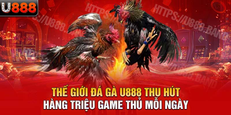 Thế giới đá gà U888 thu hút hàng triệu game thủ mỗi ngày